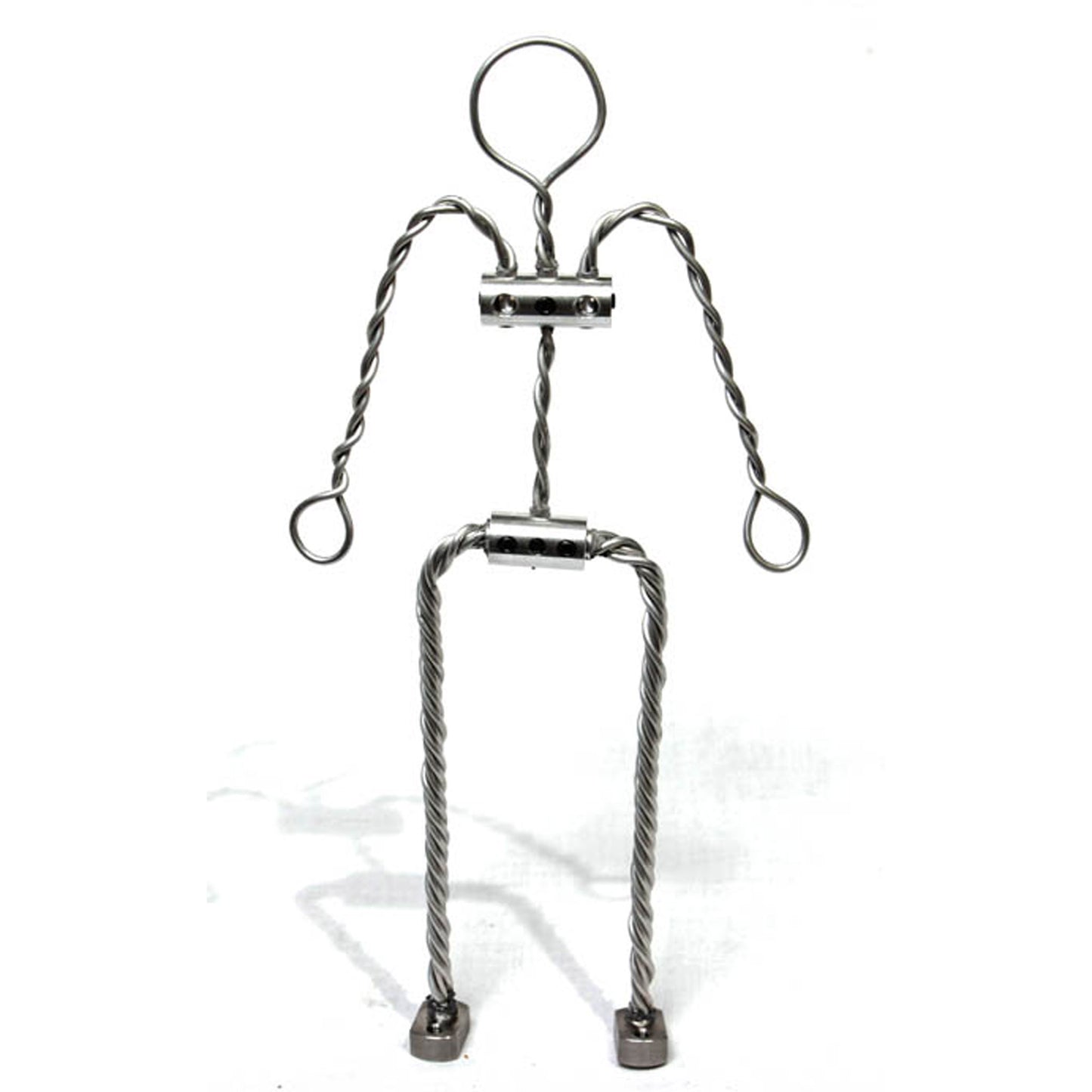 An AS AliExtra Armature Kit